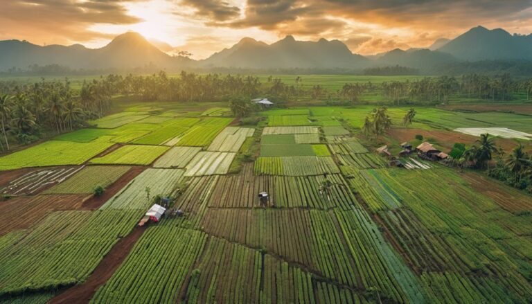 agricultural technology innovations papua