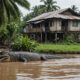 crocodiles invade flooded homes