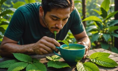 kratom leaf benefits and risks