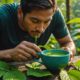 kratom leaf benefits and risks